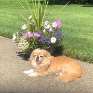 Meet your Posher, Rebecca